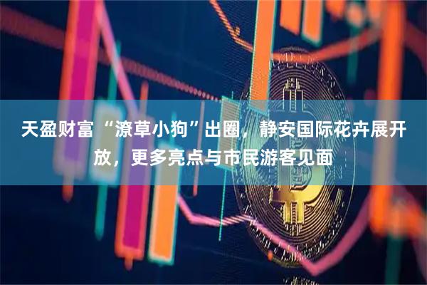 天盈财富 “潦草小狗”出圈，静安国际花卉展开放，更多亮点与市民游客见面