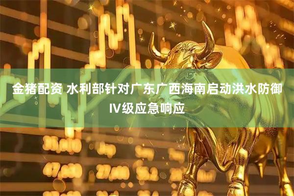金猪配资 水利部针对广东广西海南启动洪水防御Ⅳ级应急响应