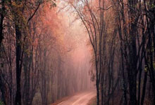 股票如何融资加杠杆:买股票一般在哪里开户-警告声四起！社媒软件CEO：人工智能领域正在形成“风险投资泡沫”